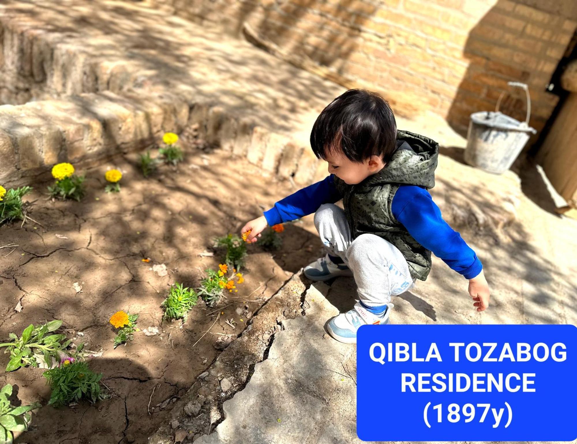 ホテル Qibla Tozabog ヒヴァ エクステリア 写真